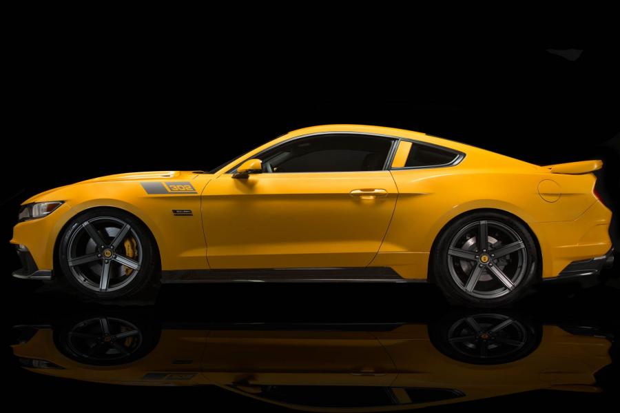  Saleen S302 Mustang Black Label 2015 года  (фото 4 из 28)